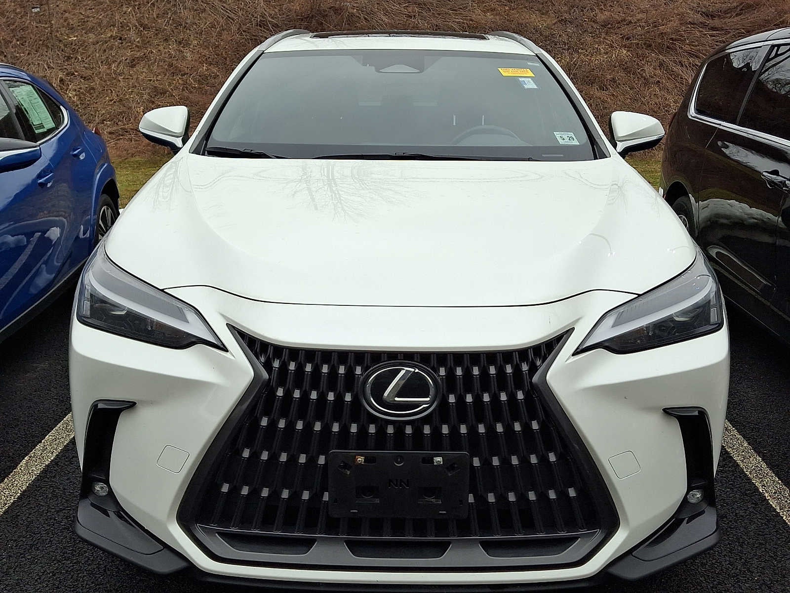 2024 Lexus NX NX 250 FWD