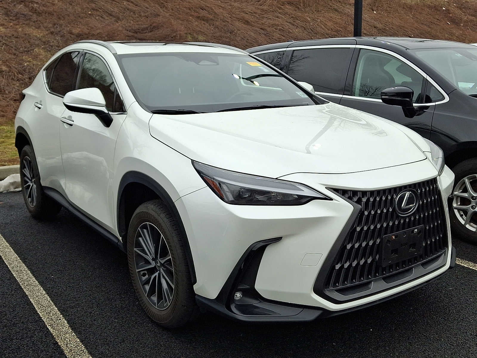 2024 Lexus NX NX 250 FWD