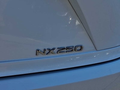 2024 Lexus NX NX 250 FWD