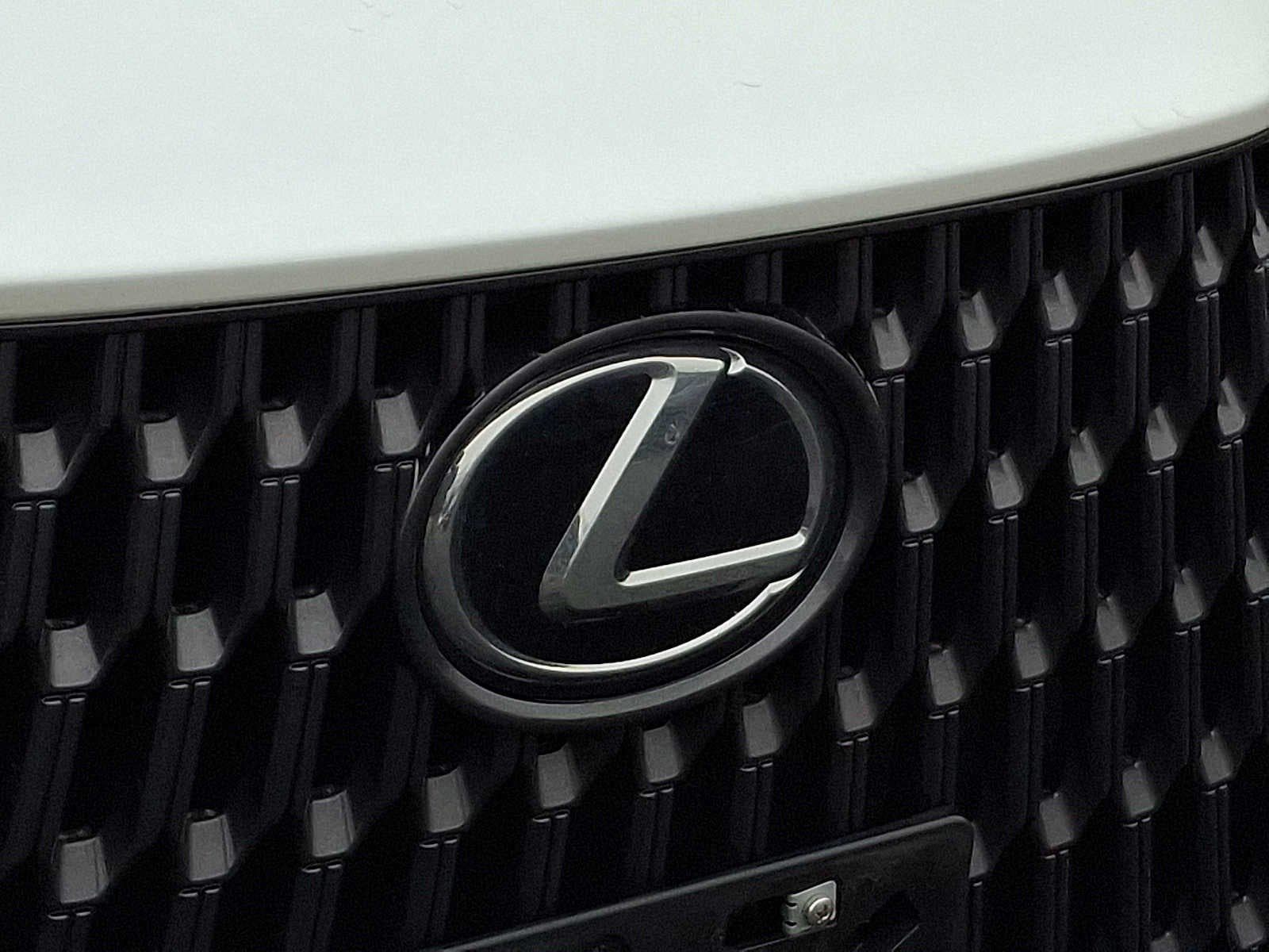 2024 Lexus NX NX 250 FWD